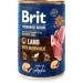  Brit Premium      ,  / , 800 
