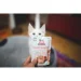 Brit   Care Cat,  ,       , 85  (147583)