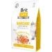   Brit  GF Haircare    2  171 306