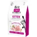   Brit  GF Kitten    2  171 278
