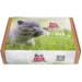    Brit  GIFT BOX Kitten (2700000051856)