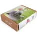    Brit  GIFT BOX Kitten (2700000051856)