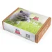    Brit  GIFT BOX Kitten (2700000051856)
