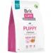   Brit       Grain-free Puppy   3 