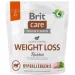   Brit      Hypoallergenic Weight Loss   1 