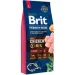   Brit   L    ,  , 15 ,
