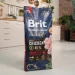   Brit   L     ,  , 15 ,