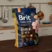   Brit   M     ,  , 3 ,