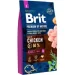   Brit   S     ,  , 1 ,