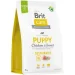   Brit      Sustainable Puppy   3 