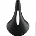 Brooks   Cambium C19 Carved  (1007-013892)