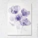 Brushme     1    75x100  FNK0122014_RN53-17