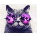 Brushme   . "  " GX29637