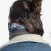 '   () Buff Polar Neal Grey   (BU 130022.937.10.00)