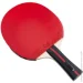 Butterfly     Ovtcharov Striker (44906901011111)