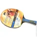     Butterfly Rakietka do Tenisa Stoowego Timo Boll Gold (4001078850210)