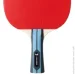 Butterfly     Team Challenger (44906901011159)