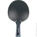 Butterfly     Timo Boll (4001078850388)