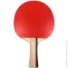 Butterfly     Timo Boll Bronze (4001078850111)