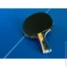 Butterfly     Timo Boll Carbon (4001078850371)