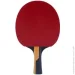 Butterfly     Timo Boll Carbon (4001078850371)