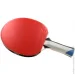 Butterfly     Timo Boll Platin (4001078850265)