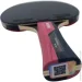 Butterfly     Timo Boll Ruby (4001078850296)
