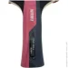 Butterfly     Timo Boll Ruby (4001078850296)