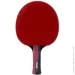 Butterfly     Timo Boll Ruby (4001078850296)