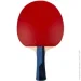 Butterfly     Timo Boll Sapphire (4001078850234)