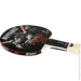 Butterfly     Timo Boll SG33 (4001078850173)