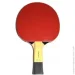 Butterfly     Timo Boll SG55 (4001078850227)