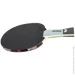 Butterfly     Timo Boll SG77 (4001078850272)