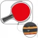 Butterfly     Zhang Jike X6 (4001078850852)