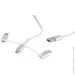  3  1 Cablexpert CC-USB2-AMLM32-1M-W