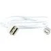  Cablexpert CC-USB2-AMLMM-1M