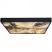  Candellux 10-14573 Luxan