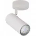  Candellux 91-01603 Colly