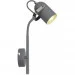  Candellux 91-66527 Gray