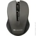  Canyon CNE-CMSW1G Grey