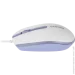 Canyon M-10 White Lavender (CNE-CMS10WL)