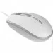  Canyon M-10 White/Gray (CNE-CMS10WG)