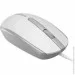  Canyon M-10 White/Gray (CNE-CMS10WG)