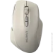  Canyon MW-21 (CNS-CMSW21CL)