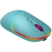  Canyon MW-22 Dark Cyan (CNS-CMSW22DC)