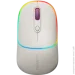  Canyon MW-22 Rice (CNS-CMSW22RC)
