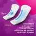   Carefree Plus Large 36 . (3574661054988/3574661604787)