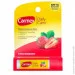        Carmex 4,25  (083078009526)
