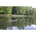   Carp Hunter Gold (       GPS  )