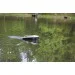   Carp Hunter CarpHunter   (Black)